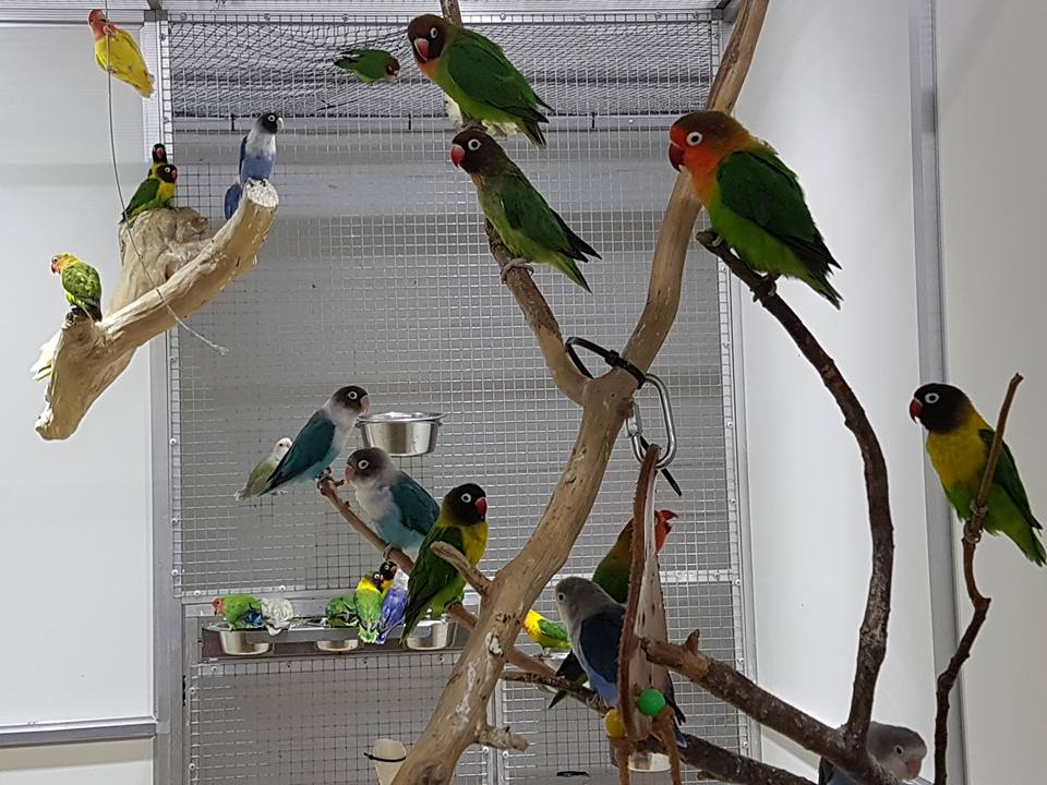 Biggest pet shop in the world